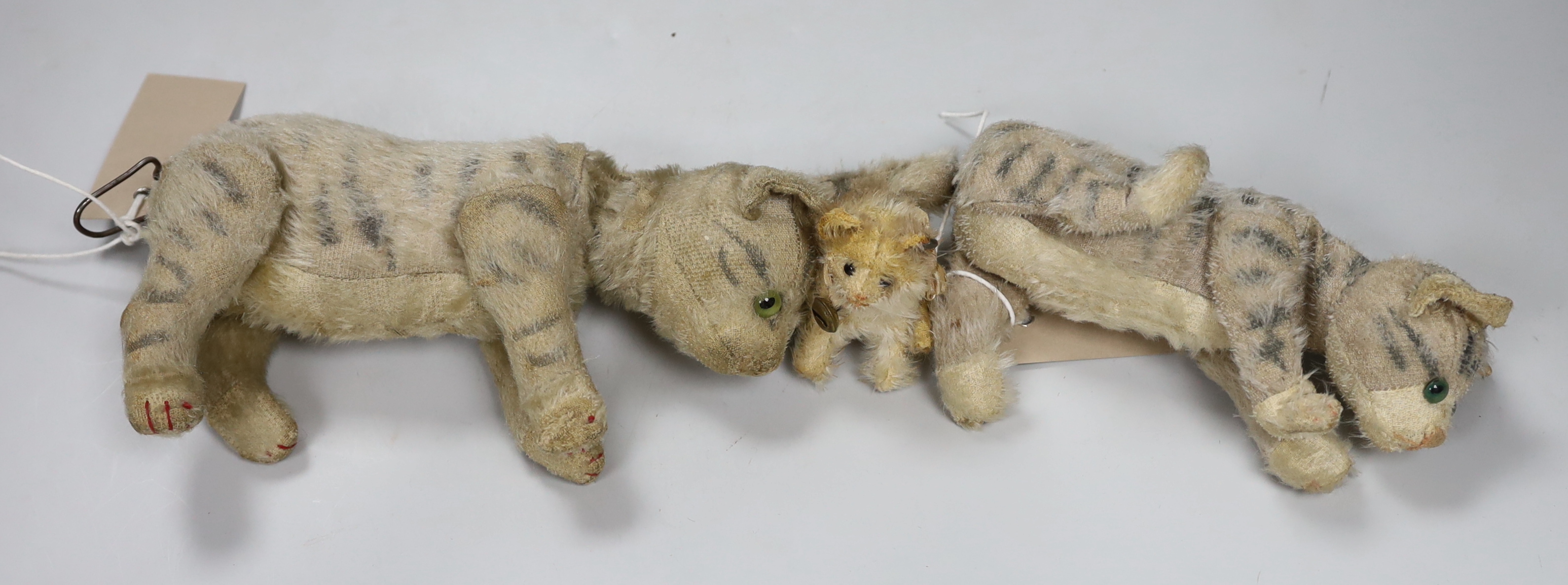 A Steiff Mini 'fluffy' cat, button, ribbon and bell, c.1925, 3in., some hair loss, and two Steiff cats, moveable heads, 1950's, with hair loss